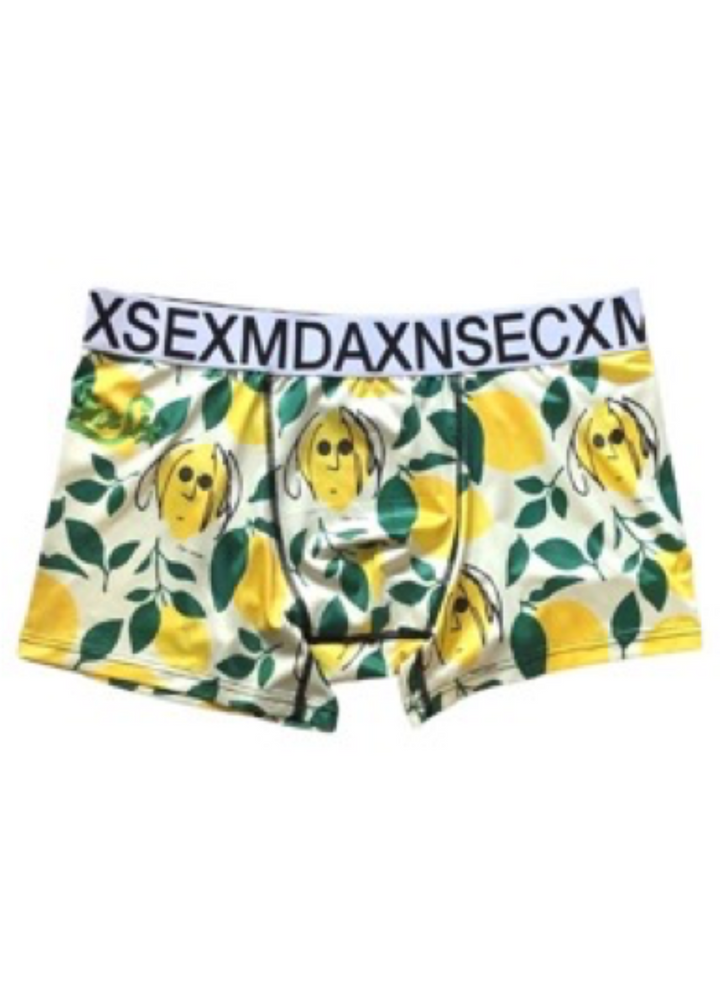 BOXER PANTS/JOHN LEMON #056