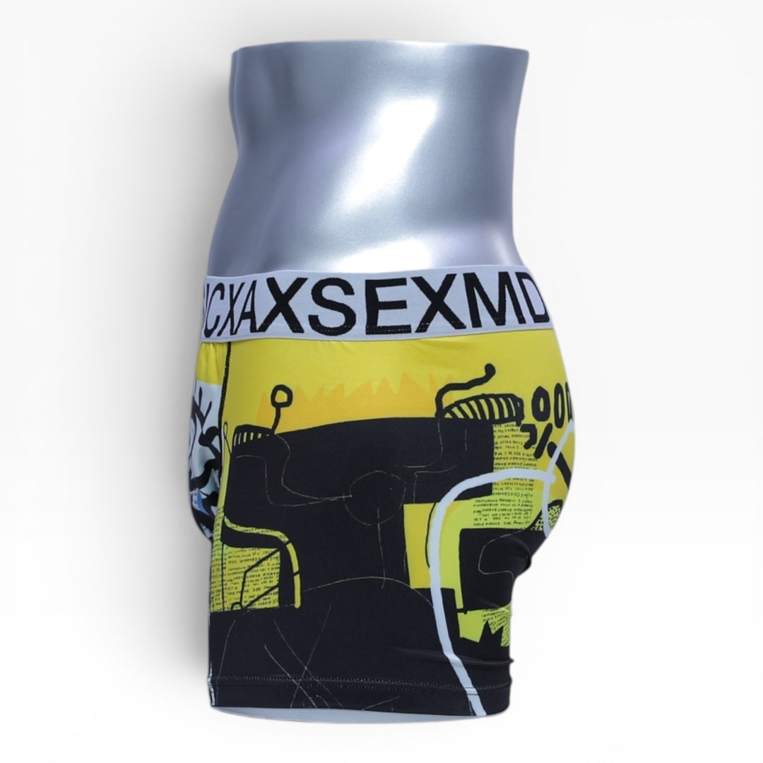 ART BOXER PANTS #092